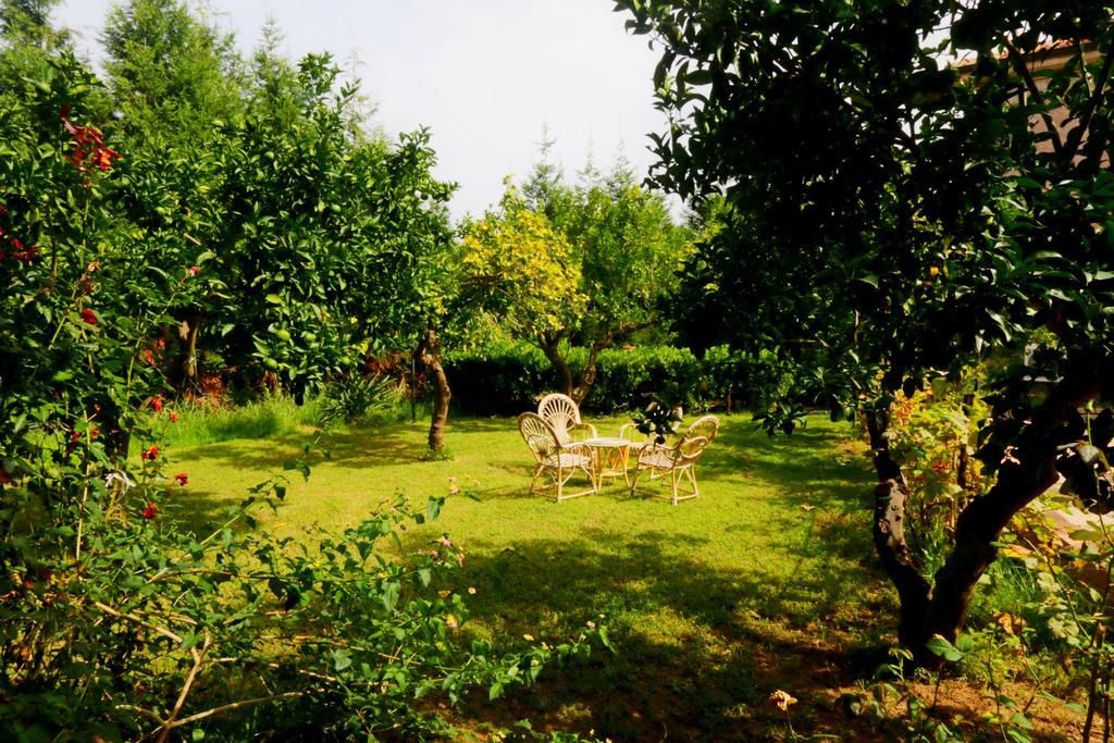 Aparthotel Residenza La Vigna Parghelia Exterior foto